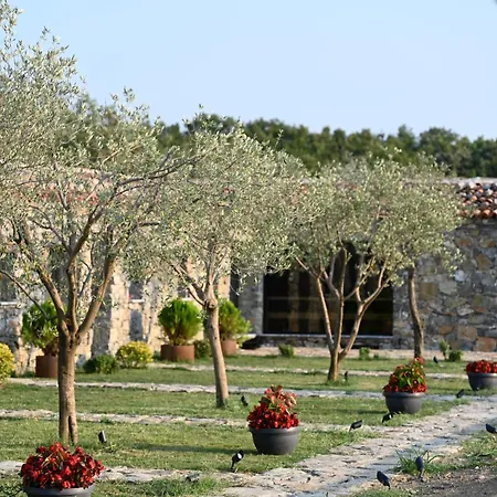 Me Ra, Mrizi Zanave *