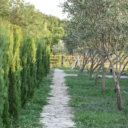 Kır Evi Me Ra, Mrizi Zanave