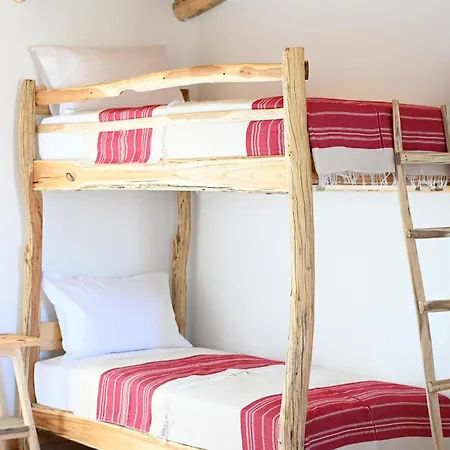 Me Ra, Mrizi Zanave Fishte