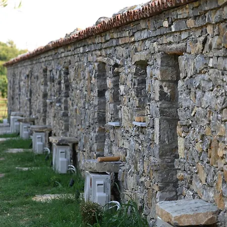 Me Ra, Mrizi Zanave Fishte