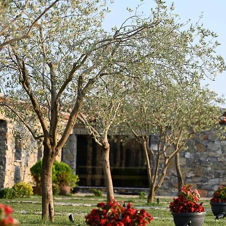 Me Ra, Mrizi Zanave Fishte