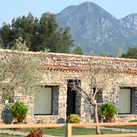 Me Ra, Mrizi Zanave منزل ريفي *