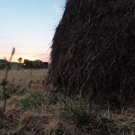 Me Ra, Mrizi Zanave منزل ريفي