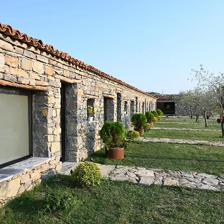 Me Ra, Mrizi Zanave Fishte